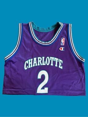 NBA Charlotte Hornets Larry Johnson Vintage Cropped Purple Mesh Athletic Jersey
